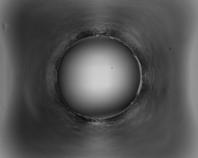 X0000092210961200709210947