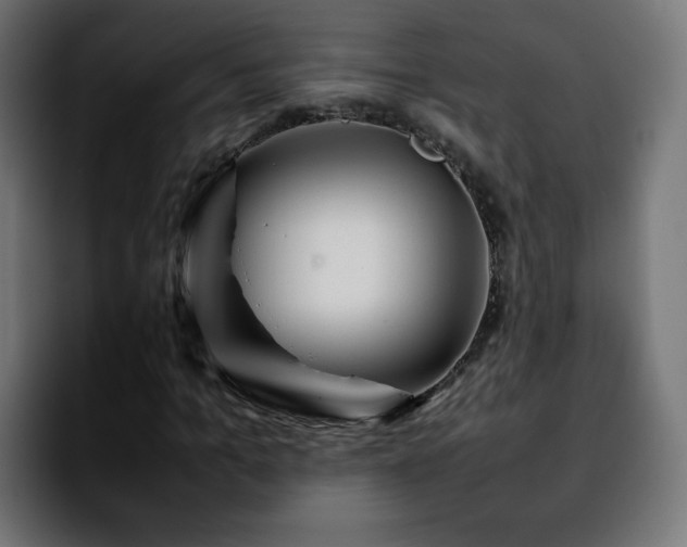 X0000092210965200709210947