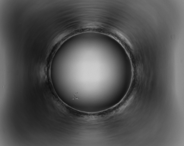 X0000092210970200709210947