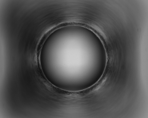 X0000092210974200709210947