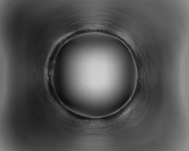 X0000092210979200709210947