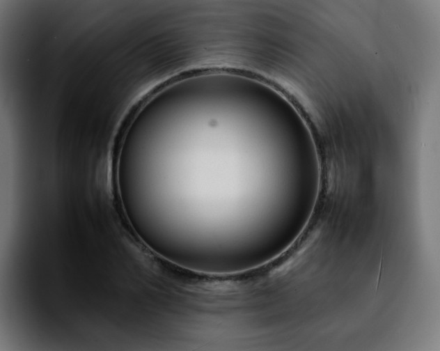 X0000092210982200709210947