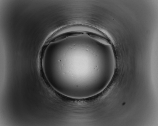 X0000092210983200709210947