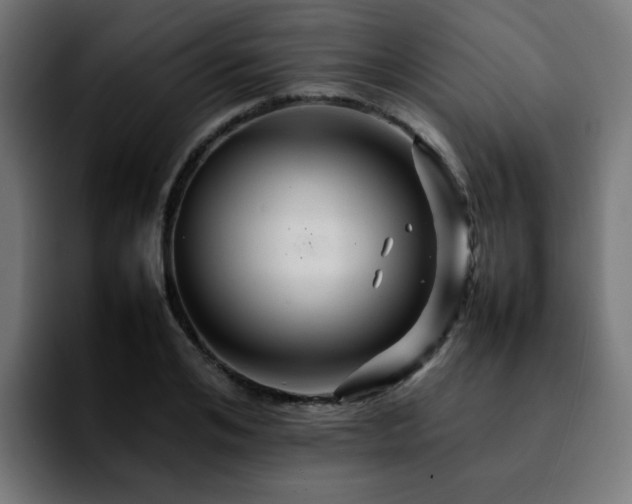 X0000092210984200709210947