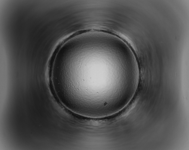 X0000092210987200709210946