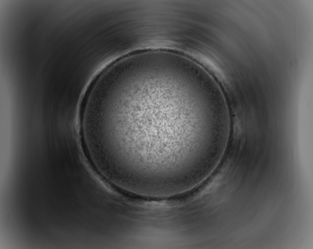 X0000092210990200709210946