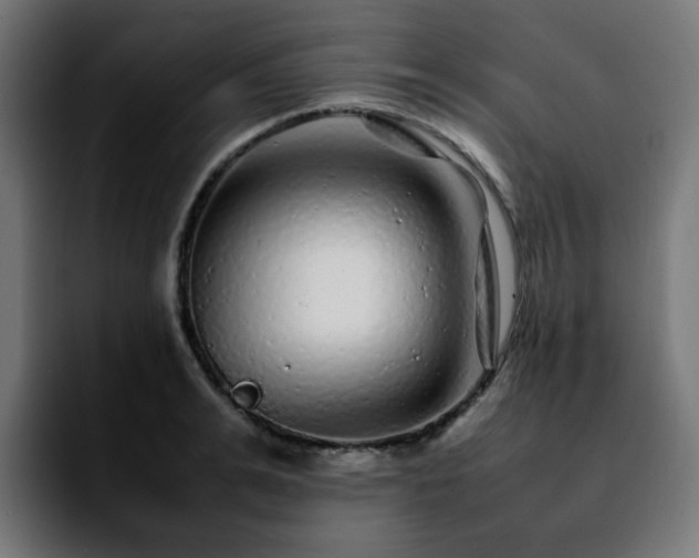 X0000092210991200709210946