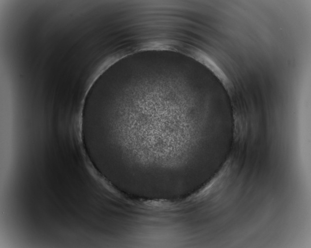 X0000092210994200709210946