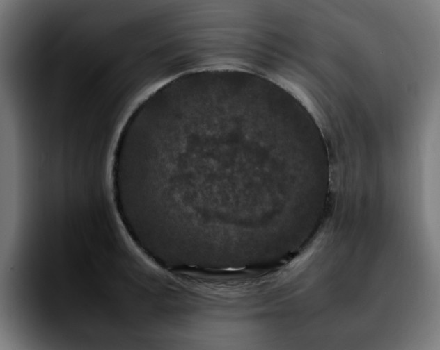 X0000092210995200709210946