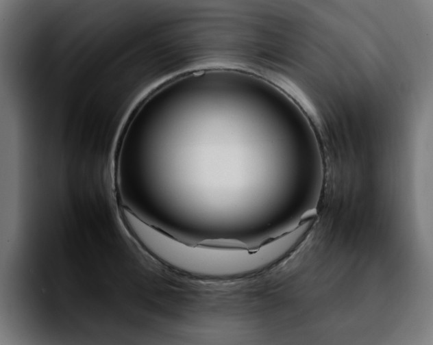 X0000092210996200709210946