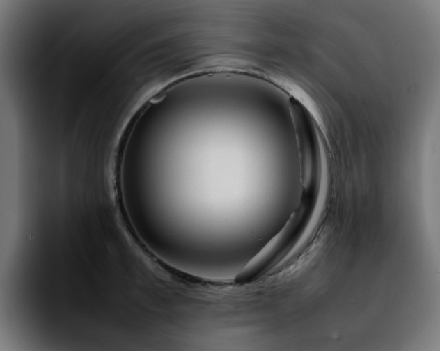 X0000092210997200709210946