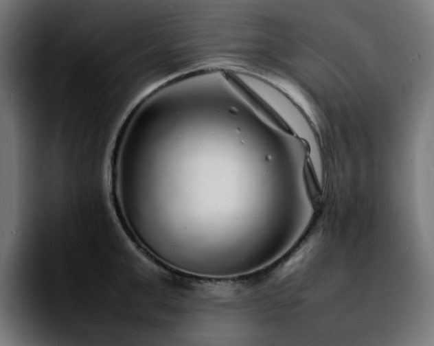 X0000092210999200709210946