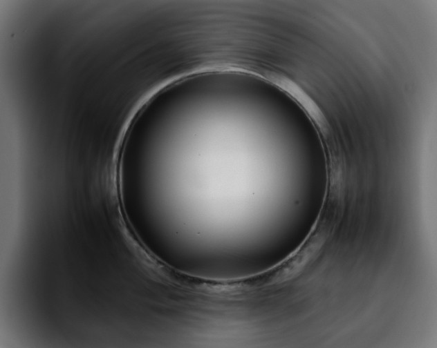 X0000092211004200709210946