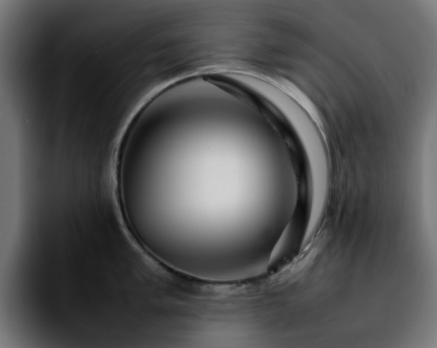 X0000092211005200709210946