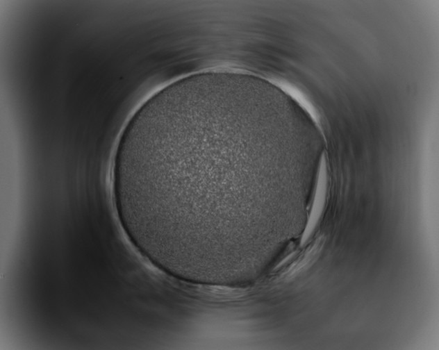 X0000092211007200709210946