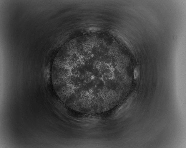 X0000092211011200709210946