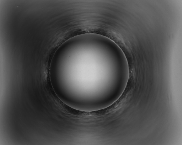 X0000092211012200709210946