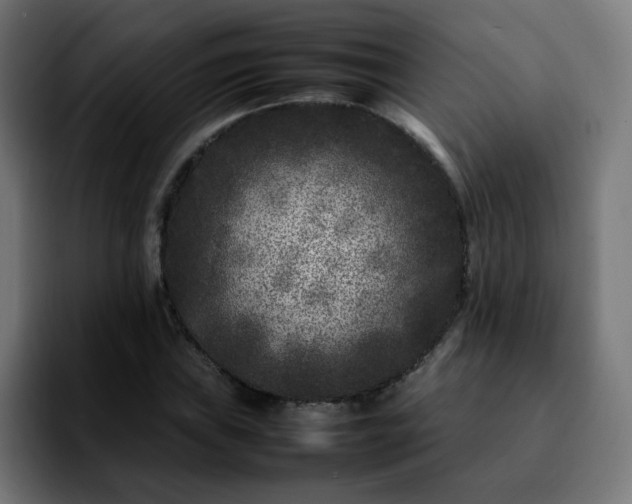 X0000092211019200709210946