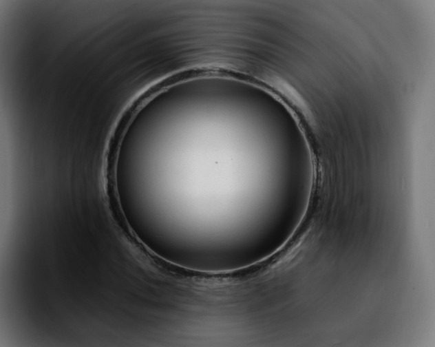 X0000092211020200709210946