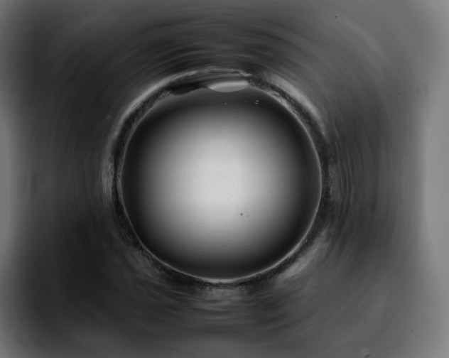 X0000092211021200709210946