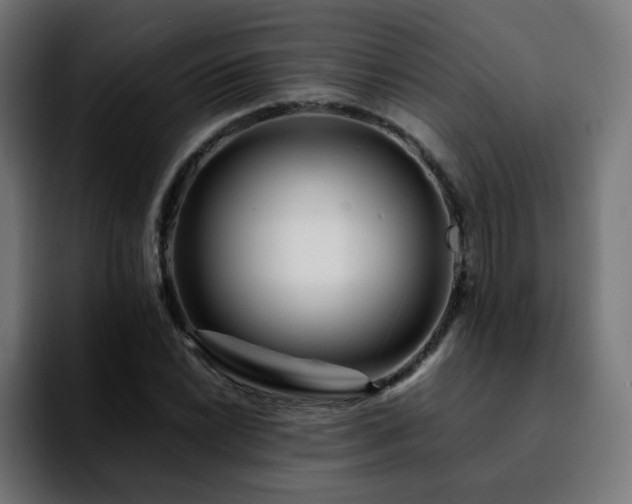 X0000092211022200709210946