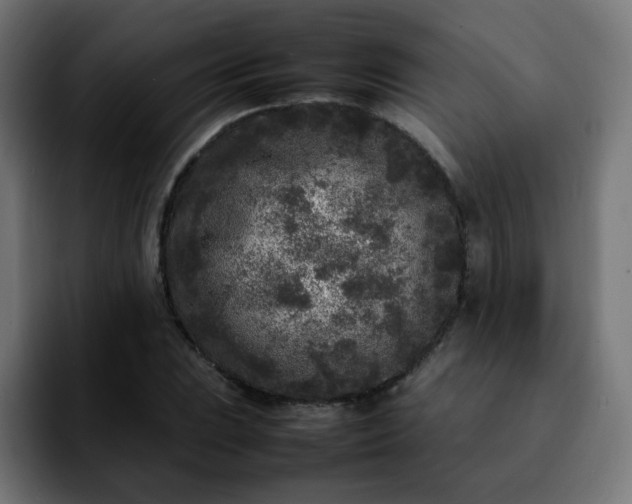 X0000092211023200709210946