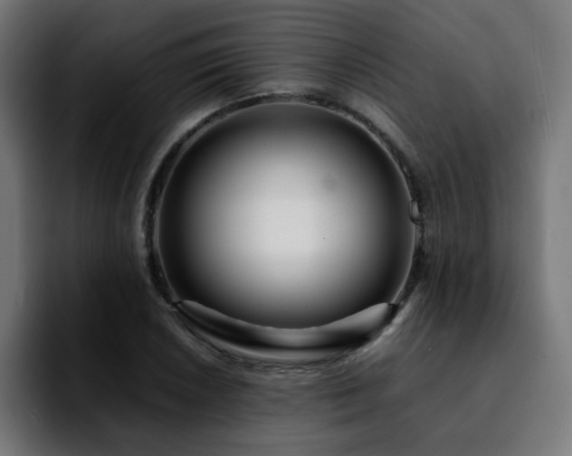 X0000092211026200709210946