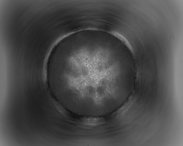 X0000092211027200709210946