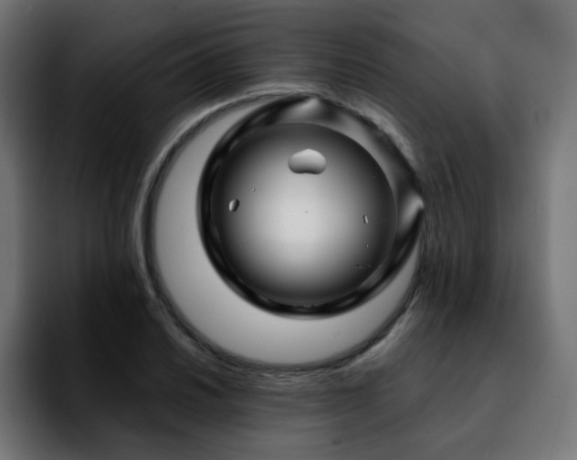 X0000092211030200709210946