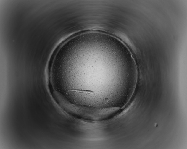 X0000092211032200709210946