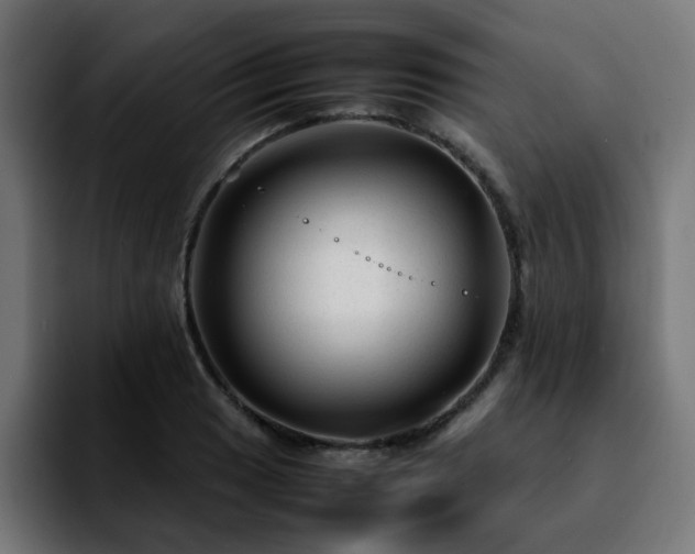 X0000092211033200709210946