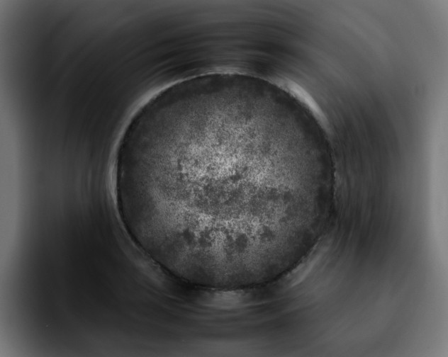 X0000092211035200709210946