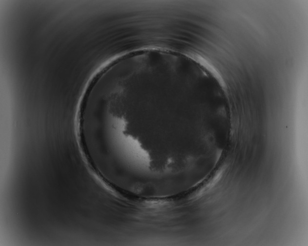 X0000092211037200709210946