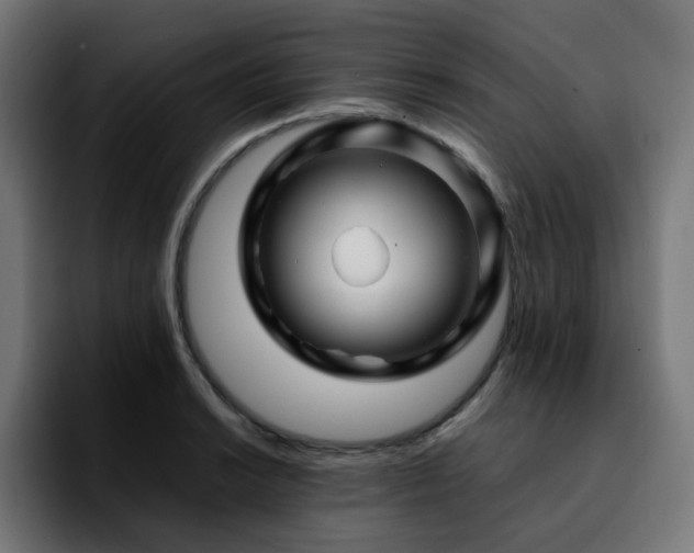 X0000092211038200709210946