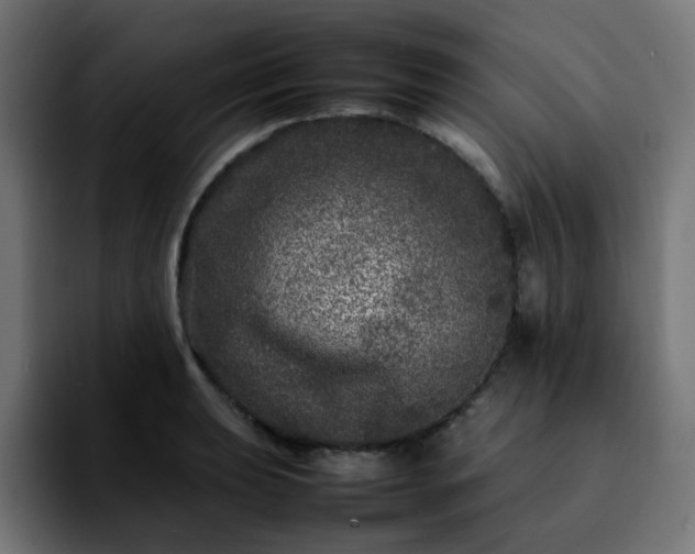 X0000092211039200709210946