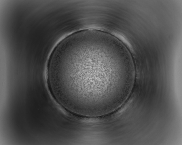 X0000092211040200709210946