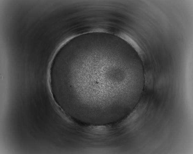 X0000092211043200709210946