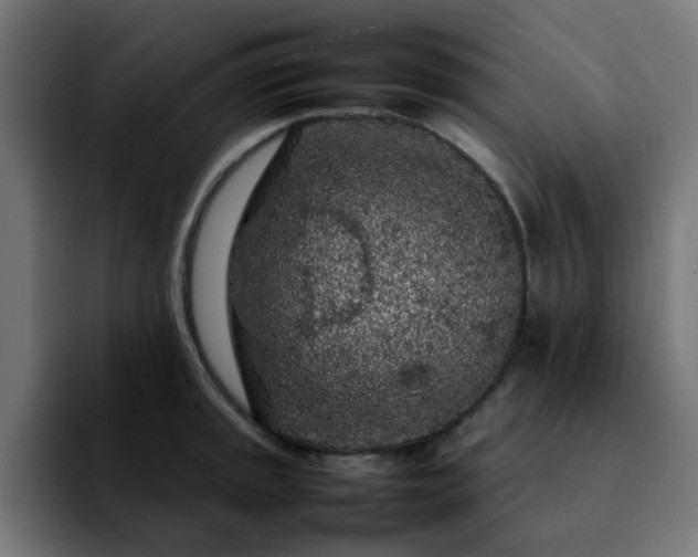 X0000092211045200709210946