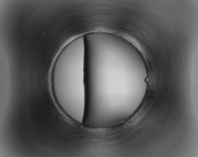 X0000092211048200709210946