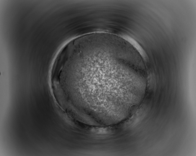 X0000092211051200709210946