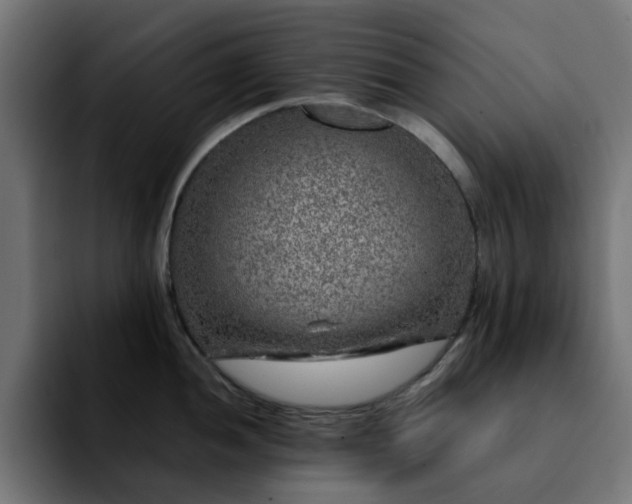 X0000092211052200709210946