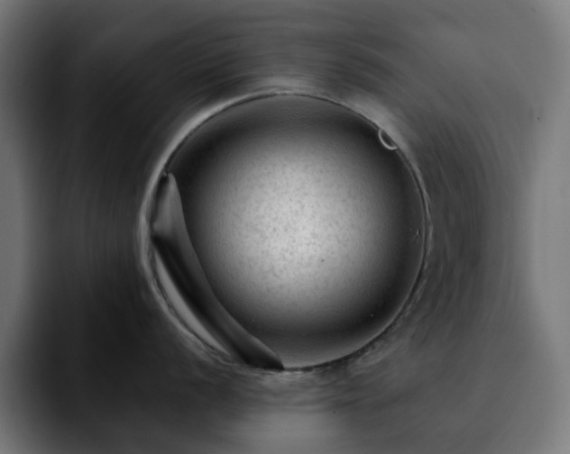 X0000092211056200709210946