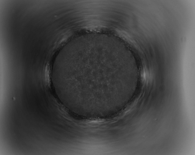 X0000092211060200709210946