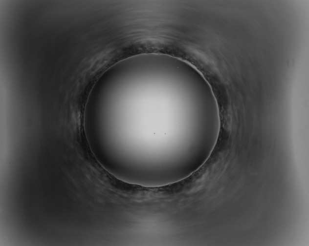 X0000092211061200709210946