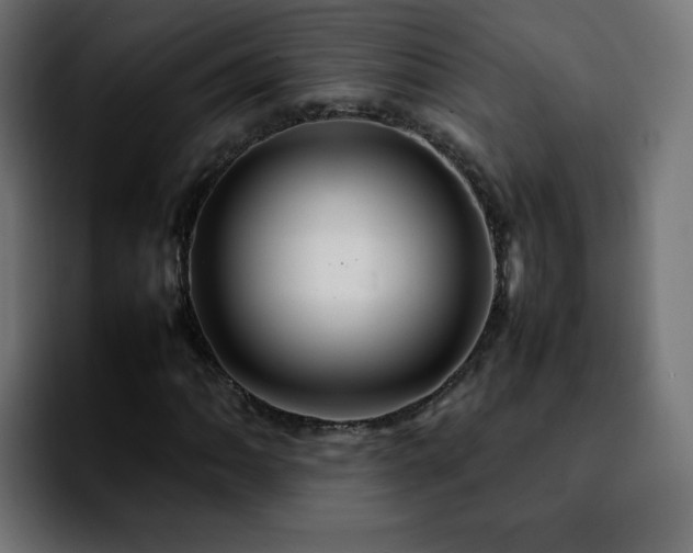 X0000092211062200709210946