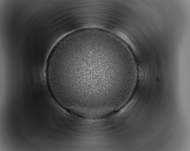 X0000092211068200709210946