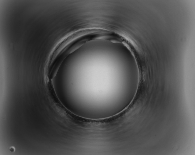 X0000092211069200709210946