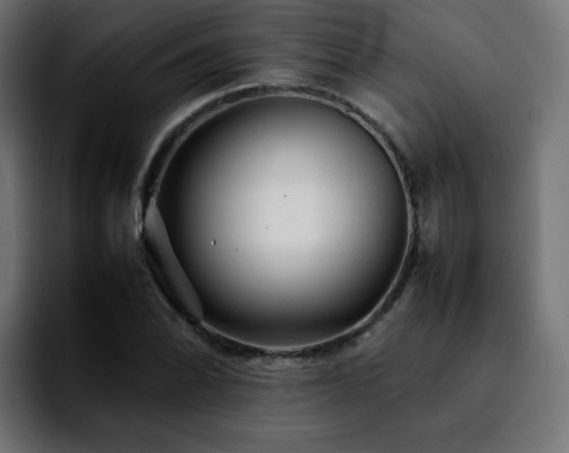 X0000092211070200709210946