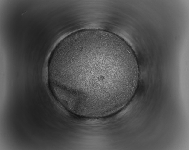 X0000092211075200709210945