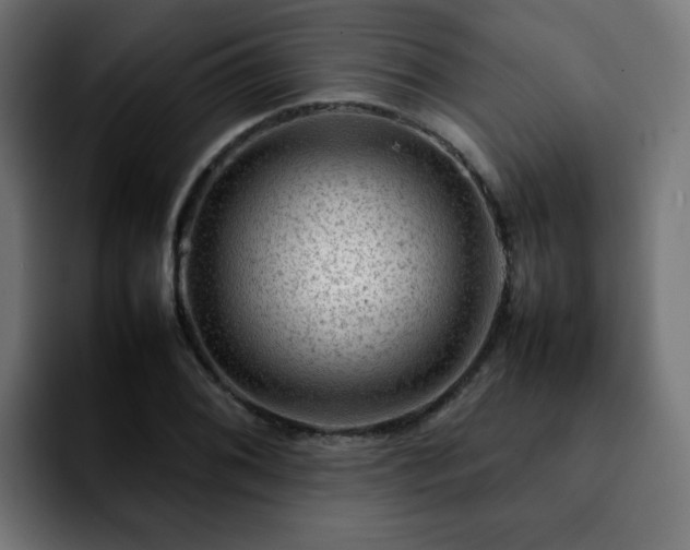 X0000092211076200709210945